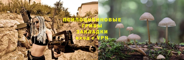 apvp Верхний Тагил